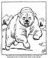 Coloring Pages Bear Grizzly Zoo Animal Printable Color Animals Help Print Raisingourkids Printing Realistic sketch template
