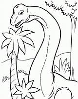Coloring Brachiosaurus Pages Kids Sheets Magnificent Brontosaurus Clipart Colouring Popular Dinosaurs Library Coloringhome Printable Line sketch template