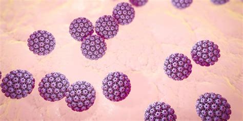 What Are Genital Warts Top 10 Std Tests
