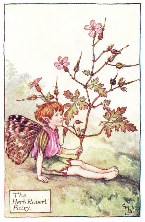vintage kids books  kid loves flower fairies  summer