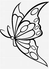 Schmetterling Vorlagen Schmetterlingsbilder sketch template