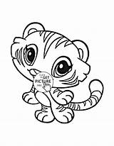 Coloring Pages Kids Tiger Baby Animal sketch template