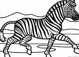 Zebra Coloring Kids Pages Printable Marty Color Zebras Cartoons Easy Shark Larry Tales Boy Getdrawings Drawing Baby Print Animal sketch template