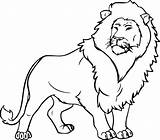 Colorir Lions Leeuw Colorare Leoni Leão Animais Leao Easy Immagini Sketches Roaring Juba Coloringfolder sketch template