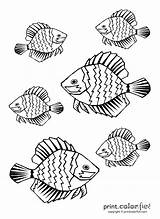 Fish Tropical Coloring Pages Drawing Bahamas Printable Ink Low Color Getdrawings Print Printcolorfun sketch template