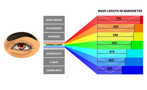visible light spectrum color waves length perceived  human eye