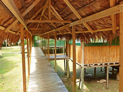 amazon yanayacu lodge  patio updated  tripadvisor iquitos vacation rental