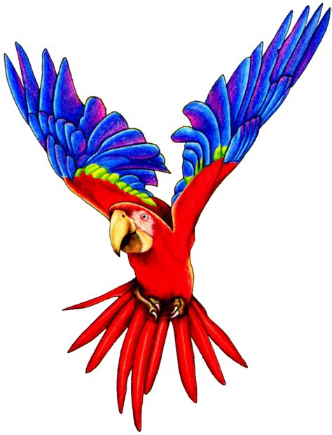 flying parrot hq png image freepngimg