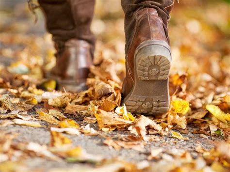 Britain’s Best Autumn Walks Saga