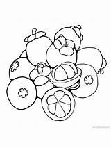 Coloring Gaddynippercrayons Mangosteen sketch template