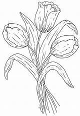 Digi Stamps Tulips Coloring Pages Adult Drawing Digital Colouring Tulip Line Flower Printable Flowers Drawings Templates Draw Embroidery Patterns sketch template