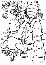 Pooh Coloring Honey Pages Taking Some Printable Silhouettes sketch template