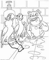 Rio Coloring Pages рио раскраска раскраски Color Print Printable Kids Cartoon sketch template