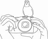 Coloring Parakeet Pages Standing Camera Choose Board sketch template