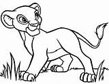 Lion Simba King Coloring Color Pages Kids Drawings Kidsplaycolor Colouring Drawing Play sketch template