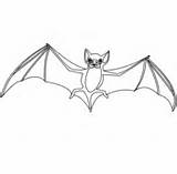 Fledermaus Morcego Schablonen Asas Malvorlagen Fledermäuse sketch template
