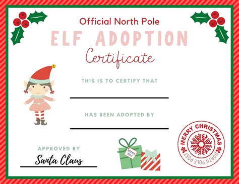 elf adoption certificate   elf   shelf  life lovely