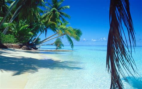 exotic beach  tropical island wallpapers