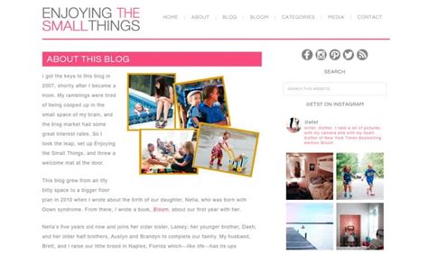 examples  mom blogs built  wordpress