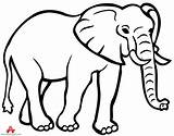 Elephant Outline Clipart Drawing Coloring Animals Pages Animal African Printable Silhouette Clip Cliparts Clipartmag Clipartix Zoo Simple Library Tattoo sketch template