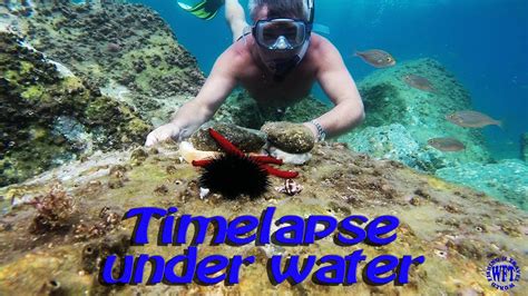 Timelapse Underwater Youtube