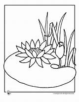 Pad Cliparts Lilies Coloringhome sketch template