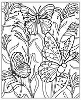 Coloring Pages Adults Butterflys Difficult Butterflies Insects Flowers Beautiful Relaxing Wings Several Moment Plants Garden Very Details sketch template