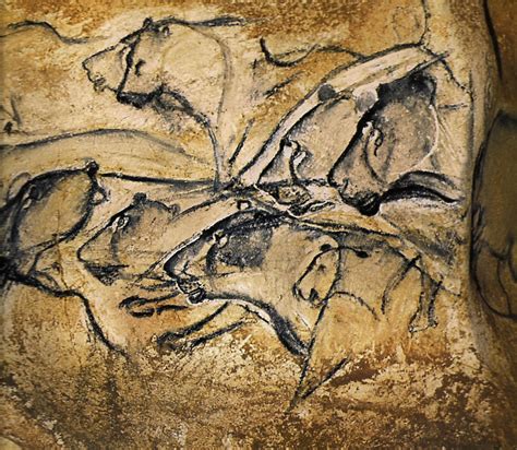 robbservations cave paintings  chauvet