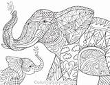 Elephant Coloring Adult Baby Pages Printable Animal Adults Colouring Mandala Coloringgarden Elephants Book Animals Sheets Description Patterns Visit Family Getdrawings sketch template
