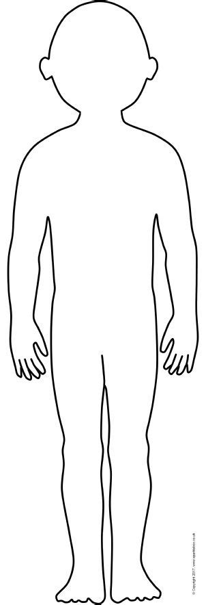 view preview body outline human body human body systems