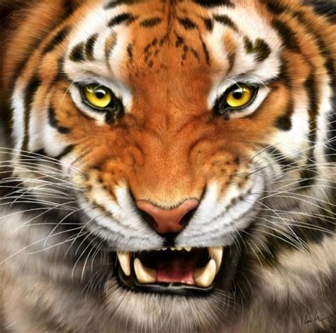 chris cassone blog  tiger  killing