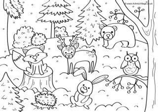 woodland animals coloring pages poisk  google coloring pages