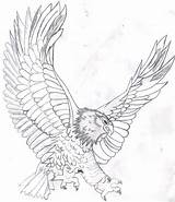 Eagle Coloring Bald Pages Kids Drawing Color Realistic Printable Flying Soaring Template Mandala Head Eagles Line Harpy Colouring Sketch Adult sketch template