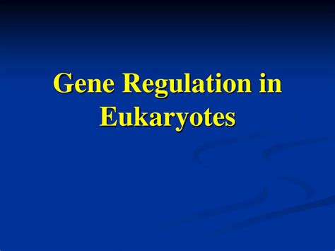 Ppt Gene Regulation In Eukaryotes Powerpoint Presentation Free