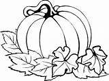 Pumpkin Coloring Pages Thanksgiving Easy Printables Fall Printable Kids Adult Halloween sketch template