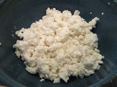 File Cottage Cheese Homemade  Wikipedia