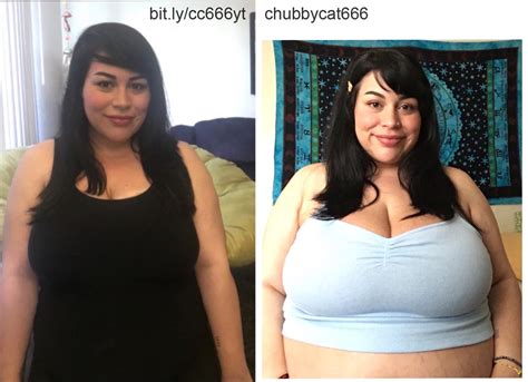 Fantastic Bellies And Where To Find Them — Chubbycat666 Bigger And Cuter