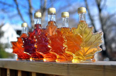 types  maple syrup