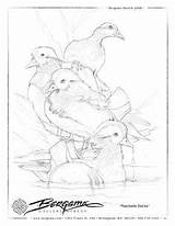 Mandarin Duck Coloring 24kb 305px sketch template