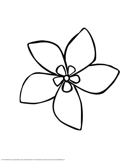 jasmine flower coloring pages coloring home