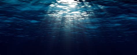 deep ocean  store   carbon   hoped sciencealert