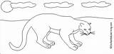 Panther Enchantedlearning Printout Cougar sketch template