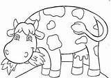 Vaca Lechera Vacas Colorir Imagui Dairy Korova sketch template