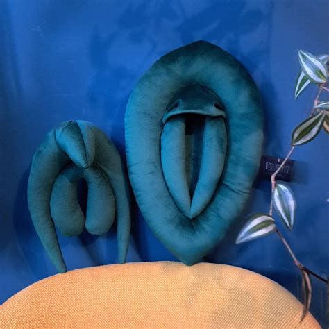 Vulva Pillows Set Vulva Anatomy Teaching Set Clitoris And Etsy Canada