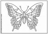 Motyl Kolorowanki Dla sketch template