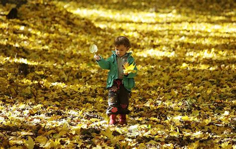 the sound of walking through fallen leaves cool pictures life is good autumn leaves