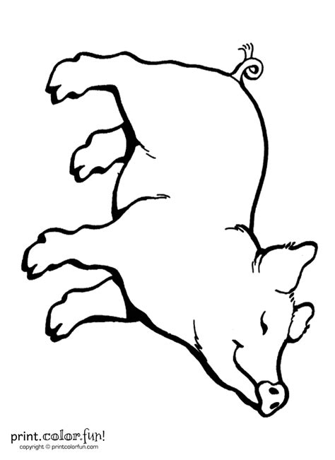 happy pig coloring page print color fun