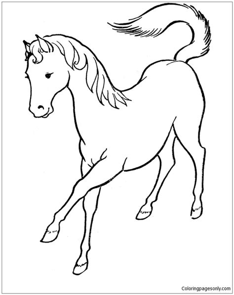 horse cute  coloring page  printable coloring pages