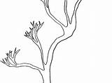 Branche Coloriage sketch template