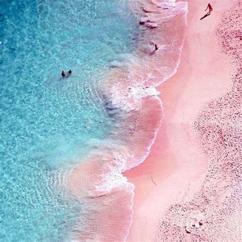 pink sands  eleuthera pink sand beach pink sand pink beach